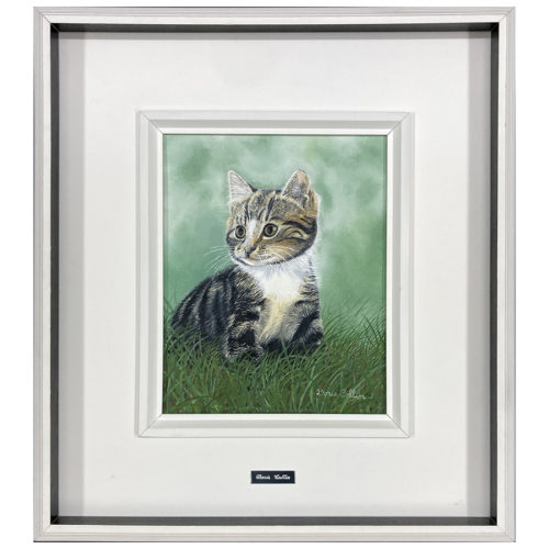 Minou le chat Collin Doris artiste peintre quebecoise herbe portrait